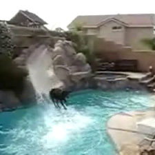 Doberman a divertir-se com um tobogã na piscina